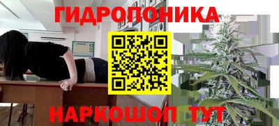 гидра Среднеуральск